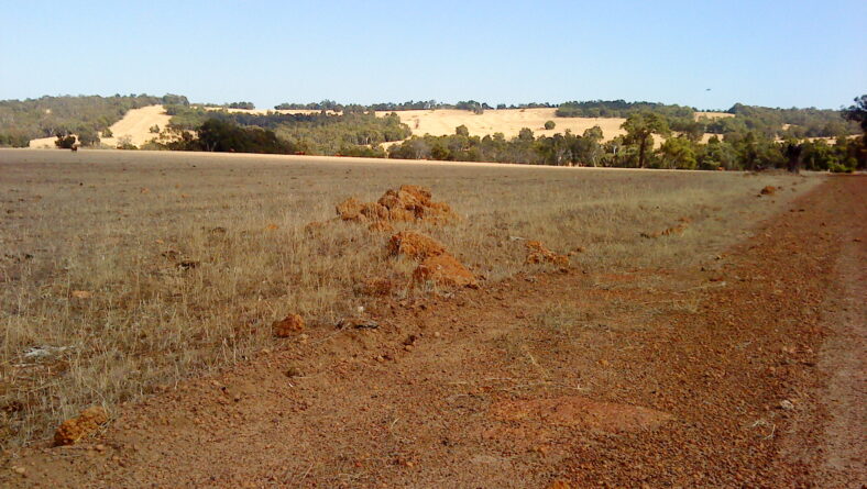 Issue 59: Aurukun Bauxite development contracts